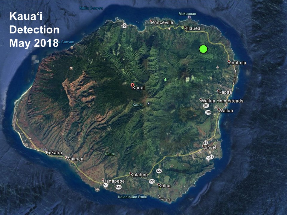 Kauai detection Kauai detection